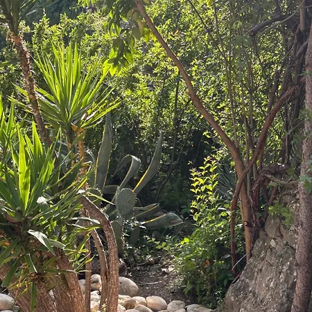 Mas La Pleiade Apartman