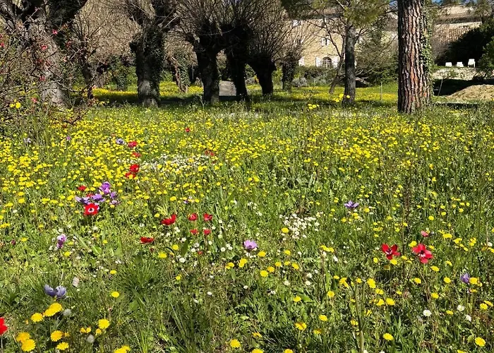 Mas La Pleiade 아파트