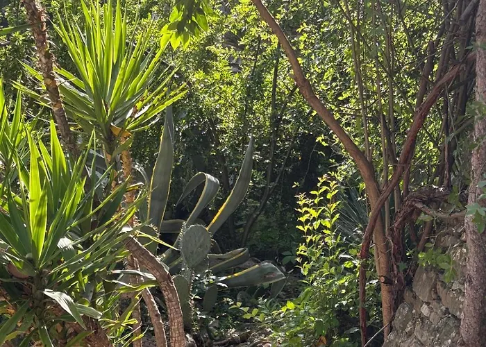 Mas La Pleiade 아파트